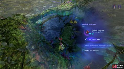 A Meal And A Memory Walkthrough