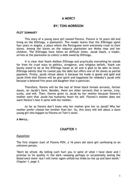 A Mercy Plot Summary