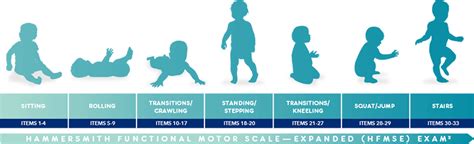 A Motor Function Measure Scale For Neuromuscular Diseases