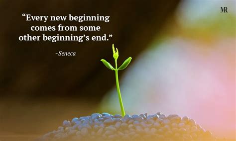 A New Beginning