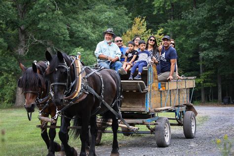 a nice long horse-drawn cart ride through the National Park