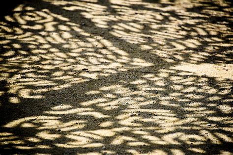 A Pattern Of Shadow And Light