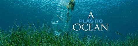 A Plastic Ocean Documentary Cartes Quizlet A Plastic Ocean Worksheet Answers - A Plastic Ocean Worksheet Answers