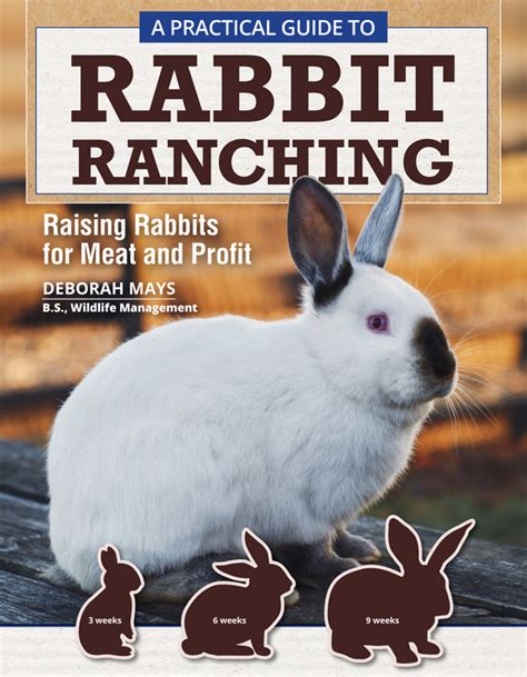 A Practical Guide To Rabbit Ranching Raising Rabb