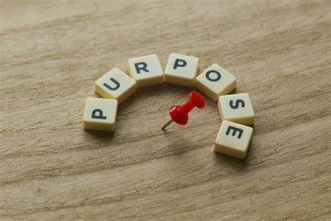 A Primary Purpose Of The Ich Is To