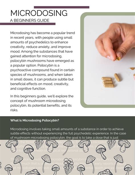 A Quick Guide To Microdosing Psychedelics Everything You Want To Know About This Cutting Edge Method Of Psychedelic Use