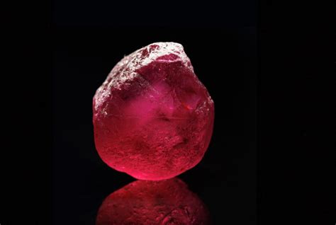 A Rare Ruby A Touching Saga Of The Devastation Of War