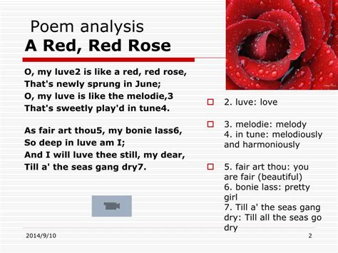 A Red Red Rose Analysis