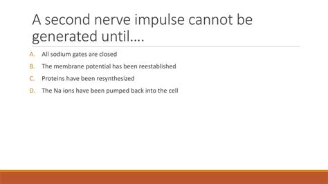 A Second Nerve Impulse Cannot Be Generated Until