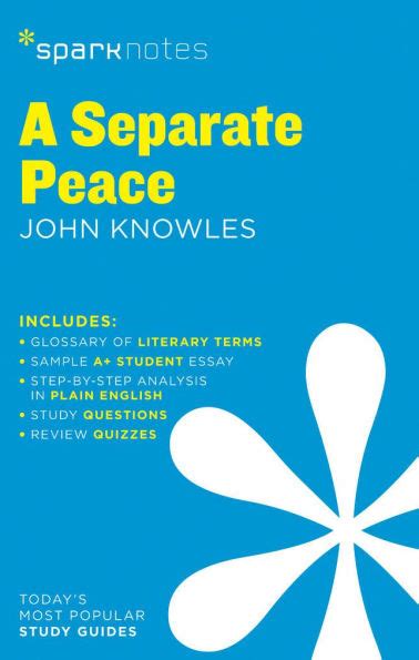 A Separate Piece Sparknotes