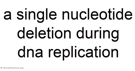 A Single Nucleotide Deletion During Dna Replication