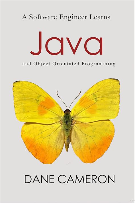 A Software Engineer Learns Java And Object Orientated Programming