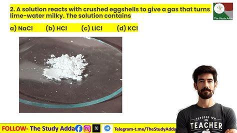 A Solution Reacts With Crushed Egg Shells