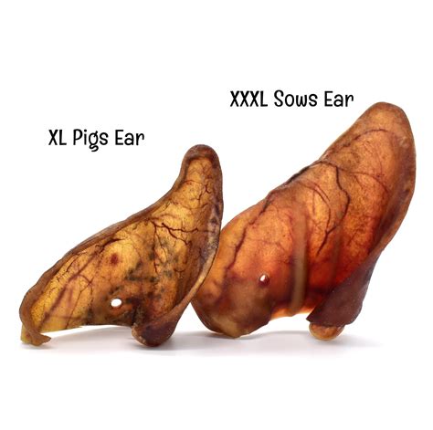 A Sow's Ear Screenplay