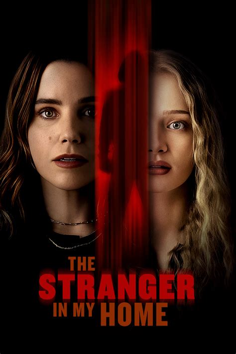 A Stranger At Home A True Story