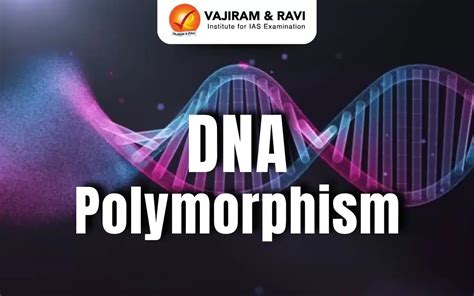 A Survey Of Dna Polymorphism Within The Genus Capsicum And