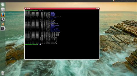 a terminal emulator linux