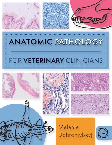 A Text Of Veterinary Pathology For Students And Practitioners