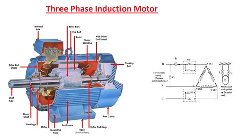 A Three Phase Induction Motor Problem