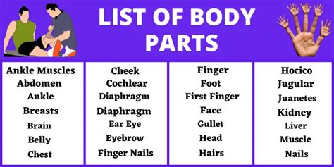 A To Z Body Parts List Body Parts Body Parts Beginning With R - Body Parts Beginning With R