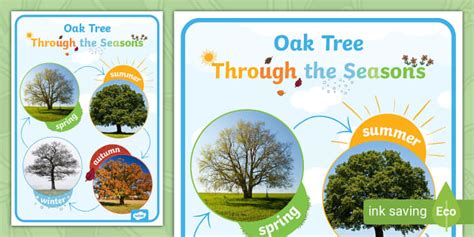 A Tree For All Seasons