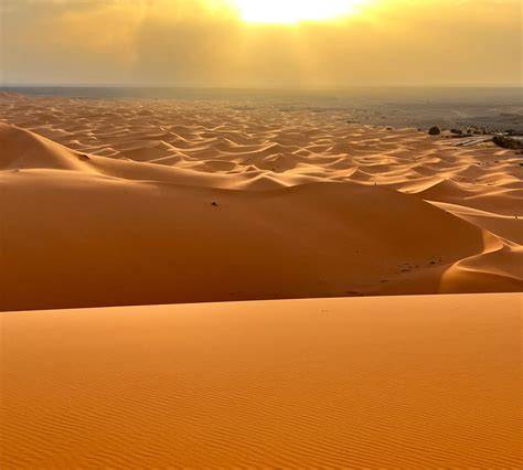 a trip to the desert level 7 collins big cat arabic