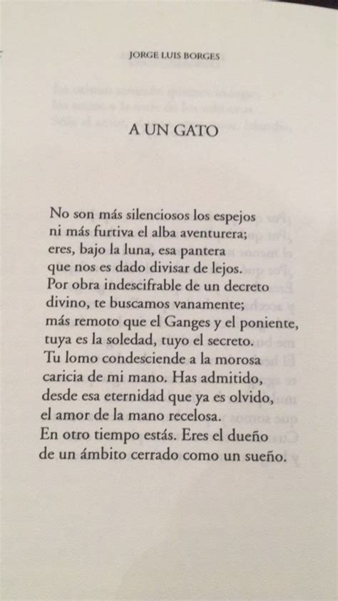 A Un Gato Borges