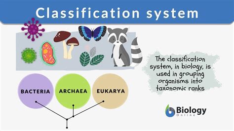 A Useful Classification System Does Not