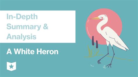 A White Heron Plot Summary