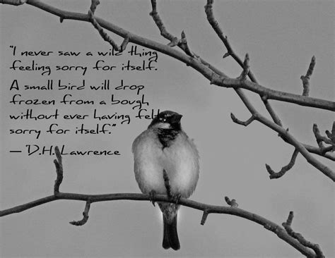 A Wild Thing Poem