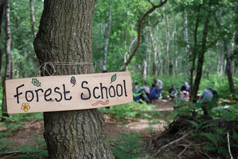 A Year Of Forest School Outdoor Play And Skill Bu