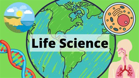 A Year Of Life Science In 3 Minutes Intro To Life Science - Intro To Life Science