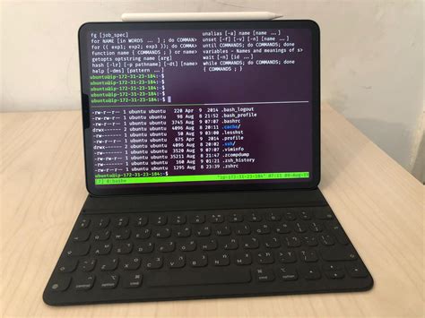 a-Shell, an actual terminal for the iPad. : r/apple - Reddit