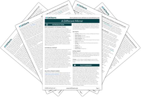 Download A Different Mirror Study Guide 