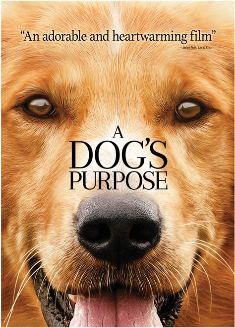 Read Online A Dogs Purpose 