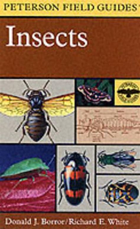 Read A Field Guide To Insects America North Of Mexico 