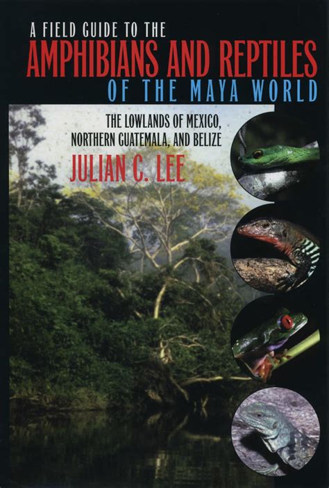 Download A Field Guide To The Amphibians And Reptiles Of The Maya World The Lowlands Of Mexico Northern Guatemala And Belize 
