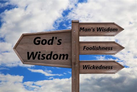 Download A Fool Guide To Wisdom Free 
