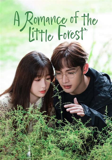 A ROMANCE OF THE LITTLE FOREST - A Romance of the Little Forest - Next Episode