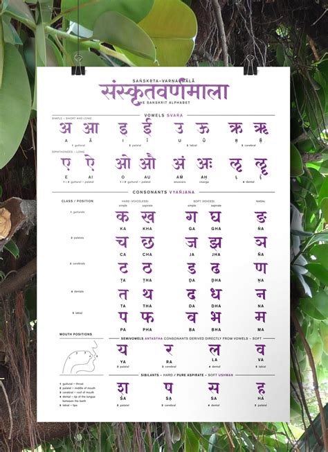 Full Download A Sanskrit Grammar 