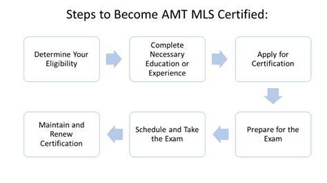 Full Download A Student Guide To Amt Certification 