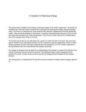 Read Online A Template For Marketing Strategy Ryerson University 