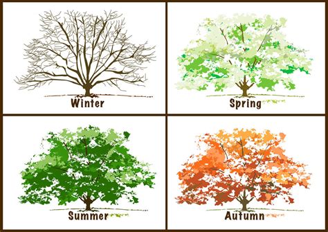 Read Online A Tree For All Seasons Gr 1 Sd282 
