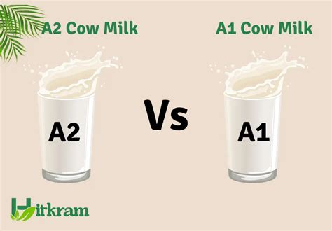 A1 V A2 Milk