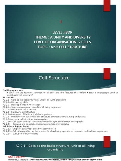 A2 Cell
