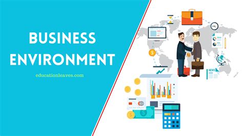 Full Download A2 Business And Its Environment 