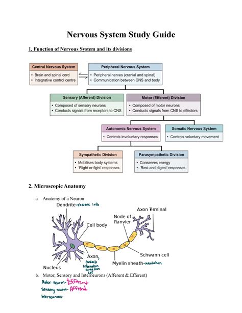 Download Aampp Nervous System Study Guide 