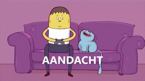 aandacht kat