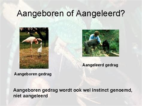 aangeleerd gedrag