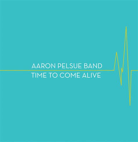 aaron pelsue band beautiful things